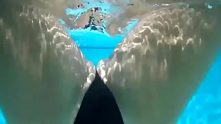 611 solo porn videos