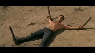 Impermanent Staked Out Under Hot Sun